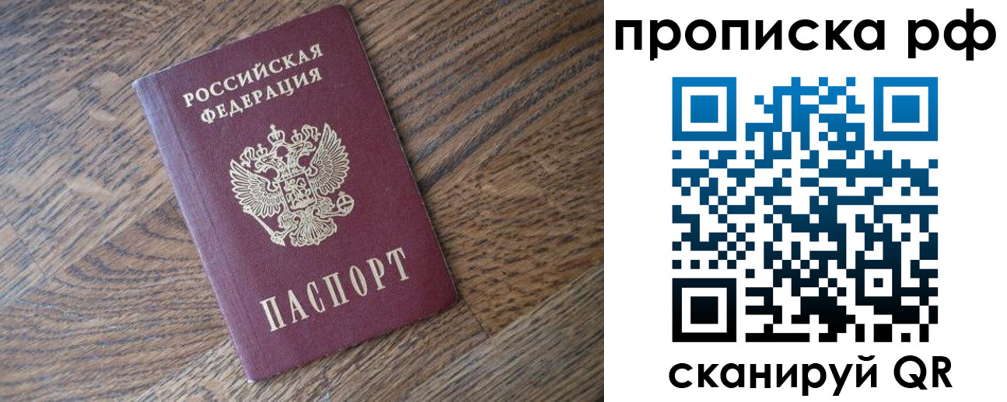 прописка поиск в Волгоградской области